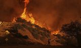 Een brandweerman trotseert de vlammen van de Palisades-brand in Mandeville Canyon. De vooruitzichten zijn niet goed. Weerdeskundigen waarschuwen: zondag tot en met woensdag gaat het weer flink waaien. Dat kan verhinderen dat blusvliegtuigen kunnen opstijgen én het vergroot de kans op nieuwe branden. Droog struikgewas, droge lucht en zware windstoten zorgen voor een giftige cocktail van omstandigheden.